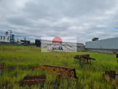 Lote/Terreno para alugar, 5000m² no Vila Nova Bonsucesso, Guarulhos