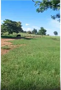 Fazenda/Sítio com 2 Quartos à venda, 48400m² no , Torixoréu