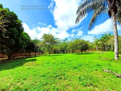 Fazenda/Sítio com 3 Quartos à venda, 7139m² no , Manaus