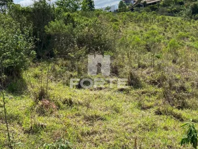 Lote/Terreno à venda, 11880m² no , Santa Branca