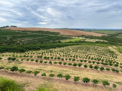 Fazenda/Sítio com 3 Quartos à venda, 120m² no , Capitólio
