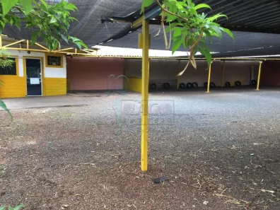 Lote/Terreno com 1 Quarto para alugar, 500m² no Nova Ribeirânia, Ribeirão Preto