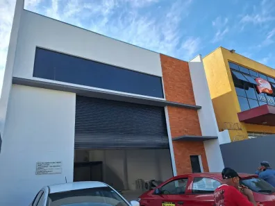 Galpão/Depósito/Armazém para alugar, 250m² no Jardim Peri Peri, São Paulo
