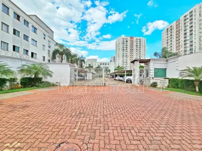 Apartamento com 3 Quartos para alugar, 61m² no Vila Monte Alegre, Ribeirão Preto