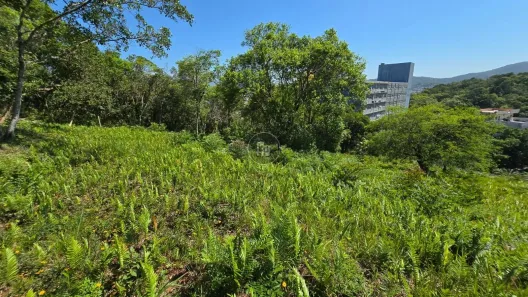 Lote/Terreno à venda, 8367m² no Estados, Balneário Camboriú