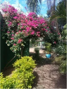Fazenda/Sítio com 4 Quartos à venda, 90m² no Santa Helena, São José dos Campos
