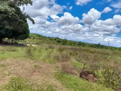 Fazenda/Sítio à venda, 625m² no Centro, Confresa