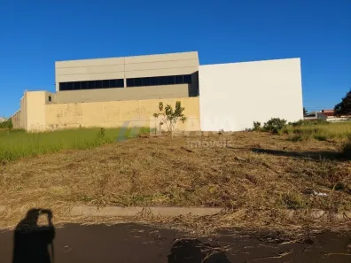 Lote/Terreno à venda, 250m² no Jardim Letícia, São Carlos