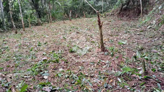 Lote/Terreno à venda, 5960m² no Vargem Grande, Teresópolis