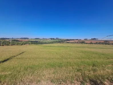 Lote/Terreno à venda, 20000m² no , Holambra