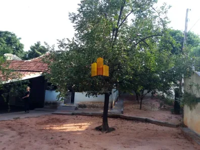 Lote/Terreno à venda, 250m² no Vila Garcia, Bauru