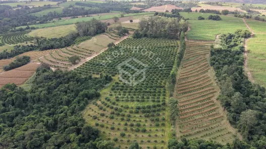 Fazenda/Sítio com 3 Quartos à venda, 107m² no Centro, Limeira