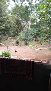 Casa com 3 Quartos à venda, 85m² no Colônia Dona Luíza, Ponta Grossa