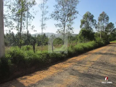 à venda, 60000m² no Rincão do Cascalho, Portão
