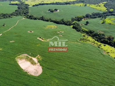 Fazenda/Sítio à venda, 500m² no , Ipameri