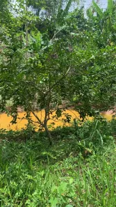 Fazenda/Sítio com 2 Quartos à venda, 3000m² no , Jaboticatubas