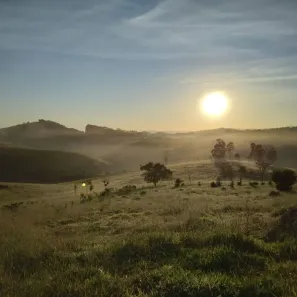 Fazenda/Sítio à venda, 21890000m² no , Lagoinha