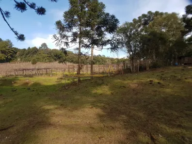 Lote/Terreno à venda, 127784m² no Parada Cristal, Caxias do Sul