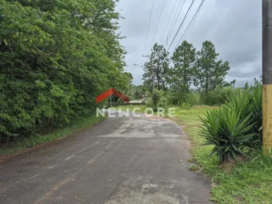 Lote/Terreno à venda, 540m² no Gramado, Cotia