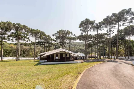 Fazenda/Sítio à venda, 11734m² no Santa Gema, Colombo