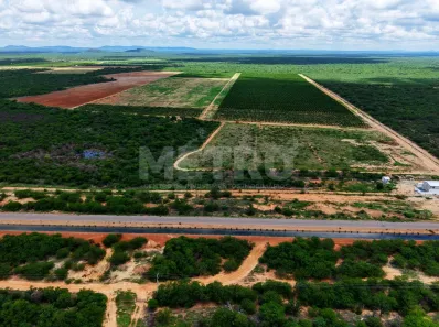 Fazenda/Sítio à venda, 65000m² no Areia Branca, Petrolina