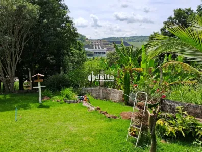 Fazenda/Sítio com 4 Quartos à venda, 170m² no Área Rural de Uberlândia, Uberlândia