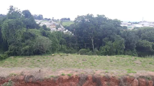 Lote/Terreno à venda, 6499m² no Vista Alegre, Vinhedo