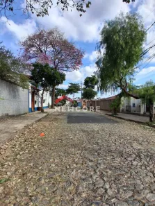 Casa com 3 Quartos à venda, 206m² no Santa Amélia, Belo Horizonte