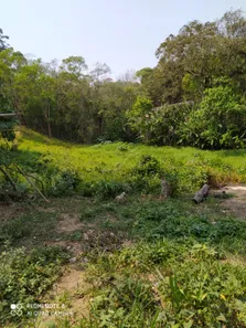 Lote/Terreno à venda, 1410m² no Jardim Nova Coimbra, Cotia