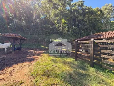 Fazenda/Sítio à venda, 242000m² no Pedra Branca, Cunha