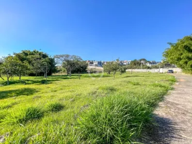 Fazenda/Sítio com 4 Quartos à venda, 16301m² no Lago Azul, Estância Velha