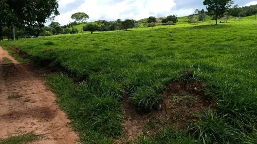 Fazenda/Sítio à venda, 278300m² no , Petrolina de Goiás