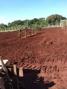 Lote/Terreno à venda, 1124m² no São Luiz I (Talhado), São José do Rio Preto