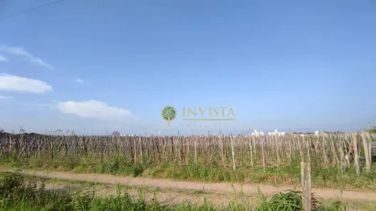Lote/Terreno à venda, 4252m² no Praia do Pontal, Palhoça