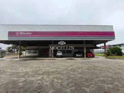 Galpão/Depósito/Armazém para alugar, 728m² no Hauer, Curitiba