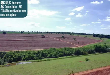 Fazenda/Sítio à venda, 256m² no , Carneirinho