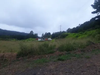 Prédio Comercial para alugar, 8090m² no Santa Fé, Caxias do Sul