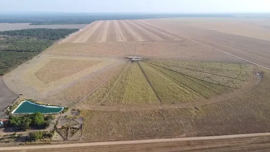 Fazenda/Sítio com 3 Quartos à venda, 69000m² no , Água Branca