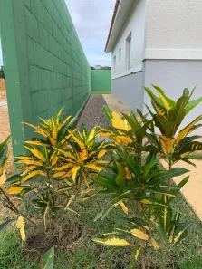 Casa de Condomínio com 3 Quartos à venda, 225m² no Ponta Negra, Manaus
