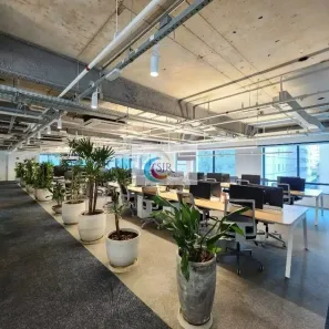Sala Comercial para alugar, 342m² no Cerqueira César, São Paulo
