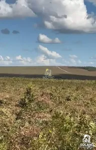 Fazenda/Sítio com 3 Quartos à venda, 8200m² no , Paranatinga