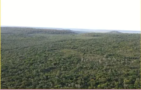 Fazenda/Sítio à venda, 808000m² no , Benedito Leite
