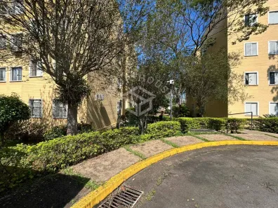 Apartamento com 3 Quartos à venda, 58m² no Parque Egisto Ragazzo, Limeira