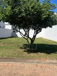 Lote/Terreno à venda, 312m² no Jardim São Domingos, Marília