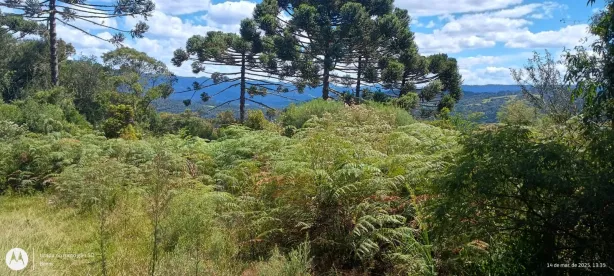 Lote/Terreno à venda, 36000m² no Urubici, Urubici