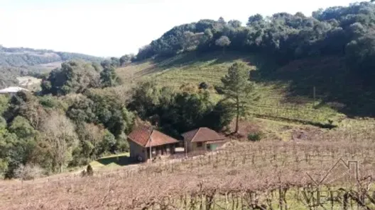 Imóvel Comercial à venda, 44000m² no Santa Fé, Caxias do Sul