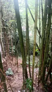 Lote/Terreno à venda, 1000m² no Valparaíso, Petrópolis