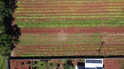 Fazenda/Sítio à venda, 2000m² no Mata Verde, Foz do Iguaçu