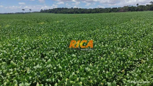 Fazenda/Sítio à venda, 11780000m² no , Candeias do Jamari