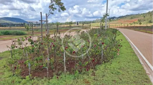 Lote/Terreno à venda, 857m² no Alphaville - Lagoa dos Ingleses, Nova Lima